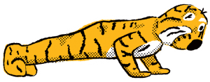Sketchy illustration of mascot Truman the Tiger doing pushups.